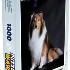 PuzzleWow Puzzel Langharige Collie Op Zwarte Achtergrond - Legpuzzel - Puzzel 1000 Stukjes Volwassenen - Sinterklaas Cadeautjes - Sinterklaas Voor Grote Kinderen