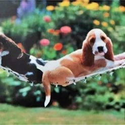 Jins Legpuzzel Honden Junior 25 Stukjes