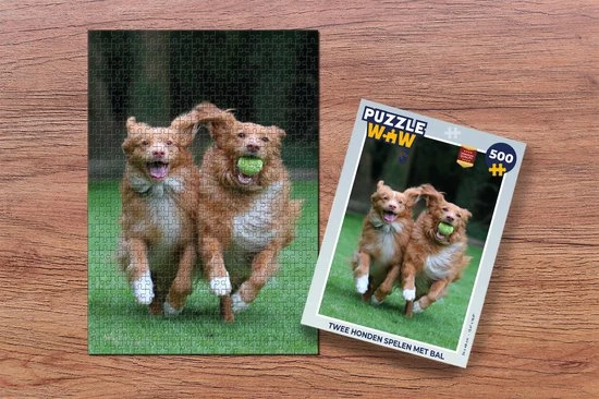 PuzzleWow Puzzel Twee Honden Spelen Met Bal - Legpuzzel - Puzzel 500 Stukjes - Sinterklaas Cadeautjes - Sinterklaas Voor Grote Kinderen 2 PuzzleWow Puzzel Twee Honden Spelen Met Bal - Legpuzzel - Puzzel 500 Stukjes - Sinterklaas Cadeautjes - Sinterklaas Voor Grote Kinderen - Afbeelding 2