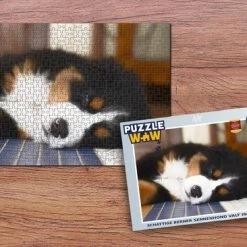 PuzzleWow Puzzel Schattige Berner Sennenhond Valt In Slaap - Legpuzzel - Puzzel 500 Stukjes - Sinterklaas Cadeautjes - Sinterklaas Voor Grote Kinderen