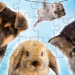 Rebo Productions Rebo Legpuzzel 2x24 Stukjes - Baby Animals 6 Rebo Productions Rebo Legpuzzel 2x24 Stukjes - Baby Animals -Puzzels Verkoop 550x377 7