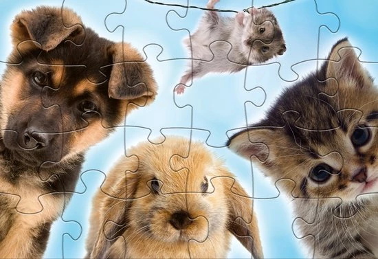 Rebo Productions Rebo Legpuzzel 2x24 Stukjes - Baby Animals 3 Rebo Productions Rebo Legpuzzel 2x24 Stukjes - Baby Animals - Afbeelding 3