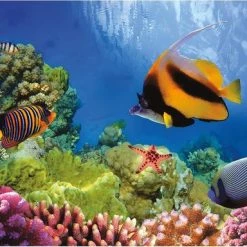 Turner Coral Reef Puzzel - 1000st -Puzzels Verkoop 550x384