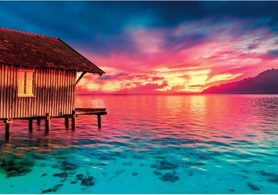 Clementoni Puzzels Voor Volwassenen - Peace Puzzle - Living The Present, Legpuzzel 500 Stukjes, 14-99 Jaar - 35120 3 Clementoni Puzzels Voor Volwassenen - Peace Puzzle - Living The Present, Legpuzzel 500 Stukjes, 14-99 Jaar - 35120 - Afbeelding 3