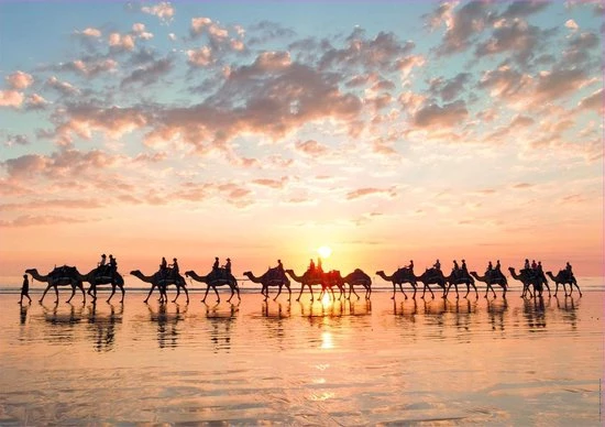 Educa Zonsondergang Op Cable Beach, Australië (1000 Stukjes) 2 Educa Zonsondergang Op Cable Beach, Australië (1000 Stukjes) - Afbeelding 2
