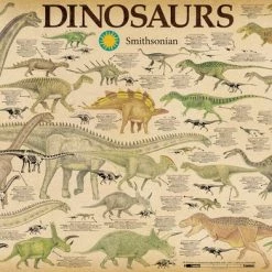 Aquarius Dinosaurs Puzzel 1000 Stukjes