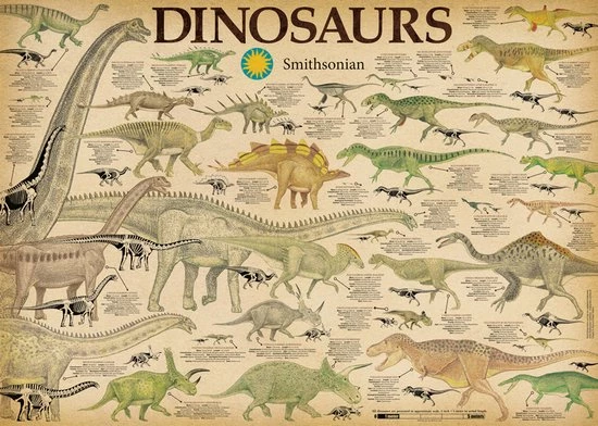 Aquarius Dinosaurs Puzzel 1000 Stukjes 1 Aquarius Dinosaurs Puzzel 1000 Stukjes