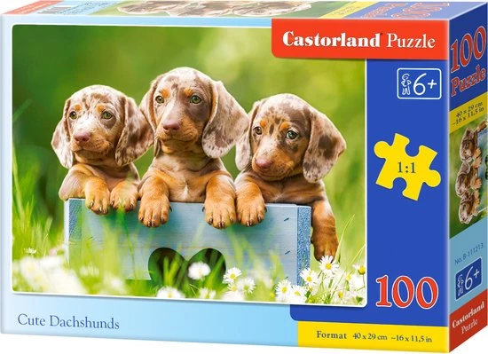 Castorland Cute Dachshunds - 100pcs 1 Castorland Cute Dachshunds - 100pcs