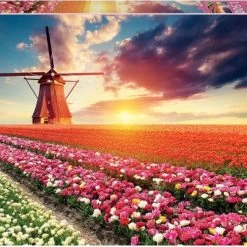 Educa - Puzzle 1500 - Tulips Landscape (017664)