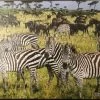 Stemen Kinderpuzzel Zebra 28 Cm X 21 Cm
