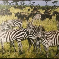 Stemen Kinderpuzzel Zebra 28 Cm X 21 Cm