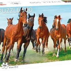 Tactic Wild And Free 500pcs