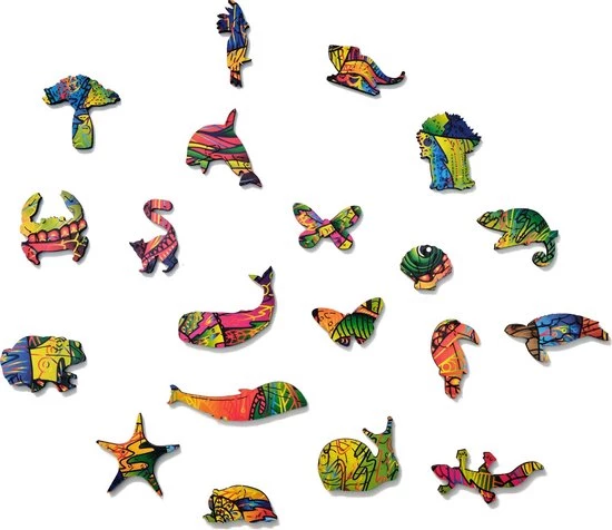 Wood Trick Kleurrijke Kameleon - Houten Vormpuzzel 4 Wood Trick Kleurrijke Kameleon - Houten Vormpuzzel - Afbeelding 4