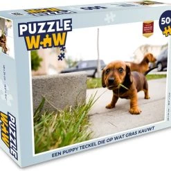 PuzzleWow Puzzel Een Puppy Teckel Die Op Wat Gras Kauwt - Legpuzzel - Puzzel 500 Stukjes - Sinterklaas Cadeautjes - Sinterklaas Voor Grote Kinderen