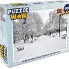 PuzzleWow Puzzel Park In New York Tijdens De Winter - Legpuzzel - Puzzel 500 Stukjes - Sinterklaas Cadeautjes - Sinterklaas Voor Grote Kinderen