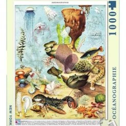 The New York Puzzle Company New York Puzzle Company Océanographie - 1000 Pieces -Puzzels Verkoop 550x622 2