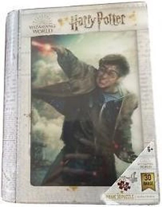 3D Puzzel Harry Potter Battle Prime3D (300 Pcs) 1 3D Puzzel Harry Potter Battle Prime3D (300 Pcs)