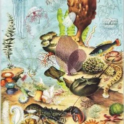 The New York Puzzle Company New York Puzzle Company Océanographie - 1000 Pieces -Puzzels Verkoop 550x740 2