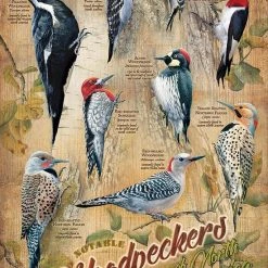 Cobble Hill Puzzel Woodpeckers - 500 Stukjes