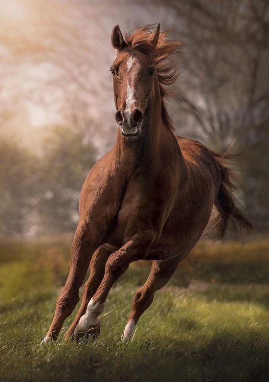 Legpuzzel - 1500 Stukjes - The Horse - Clementoni Puzzel 2 Legpuzzel - 1500 Stukjes - The Horse - Clementoni Puzzel - Afbeelding 2