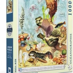The New York Puzzle Company New York Puzzle Company Océanographie - 1000 Pieces -Puzzels Verkoop 550x834 1